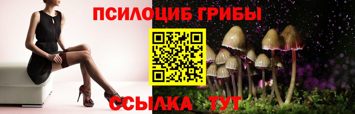 Псилоцибиновые грибы MAGIC MUSHROOMS  Галлюциногенные грибы мухоморы  Сокол  Вход с VPN 